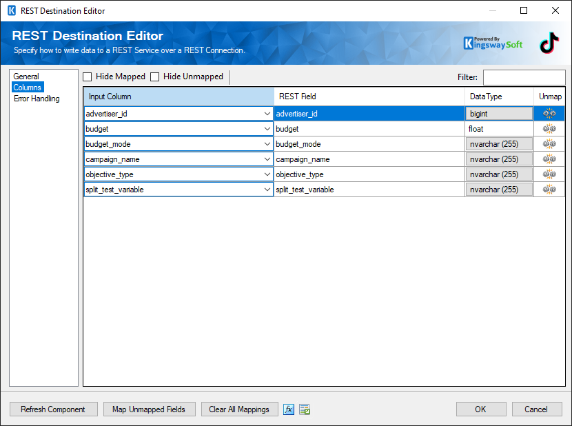 SSIS Tiktok Business Destination component - Columns